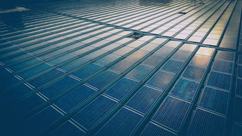 上海疫情新动态,3例境外输入病例及1例关联病例的应对与反思 上海疫情新动态,3例境外输入病例及1例关联病例的应对与反思