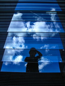 张文宏视角,新冠疫情的稳定期与未来展望 张文宏视角,新冠疫情的稳定期与未来展望