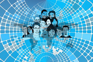 厦门疫情新变化,了解新增中风险区及其影响 厦门疫情新变化,了解新增中风险区及其影响