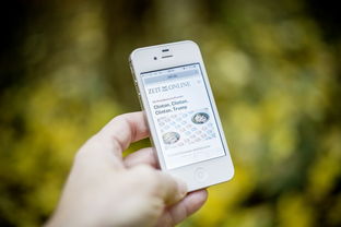 揭秘手机号码吉凶,免费查询打分的科学与迷信 揭秘手机号码吉凶,免费查询打分的科学与迷信