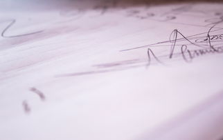打造个性签名,让你的名字设计脱颖而出 打造个性签名,让你的名字设计脱颖而出