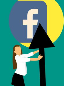 探索中国免费测名网站,名字的力量与数字的奥秘 探索中国免费测名网站,名字的力量与数字的奥秘