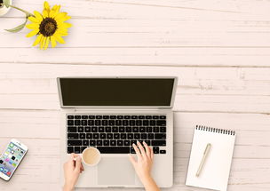 九台市疫情动态,今日最新资讯与防控指南 九台市疫情动态,今日最新资讯与防控指南