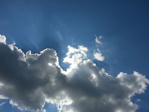 巴彦县疫情新动态,保护健康,共同行动 巴彦县疫情新动态,保护健康,共同行动