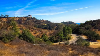 百旺茉莉园,探索自然之美与园艺乐趣 百旺茉莉园,探索自然之美与园艺乐趣