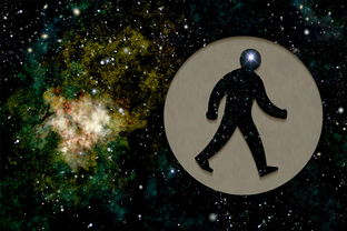 揭秘,上帝最宠爱的四个星座 揭秘,上帝最宠爱的四个星座