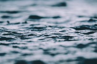 广州疫情新动态,防控措施、生活影响及未来展望 广州疫情新动态,防控措施、生活影响及未来展望