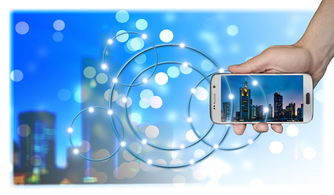 探索名字的力量,免费查询最准的名字测试网站指南 探索名字的力量,免费查询最准的名字测试网站指南