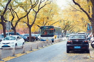 北京最严格流调,疫情防线的升级与挑战 北京最严格流调,疫情防线的升级与挑战