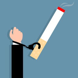 全国公安网查询系统，查重名的便捷与隐私保护