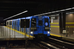 天津疫情新动态,新增80例本土确诊背后的防控策略与市民应对指南 天津疫情新动态,新增80例本土确诊背后的防控策略与市民应对指南