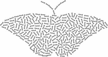 探索符号艺术,网名中的花样符号与翅膀元素 探索符号艺术,网名中的花样符号与翅膀元素