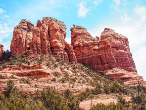 河北疫情新动态,新增51例本土确诊的深度解析 河北疫情新动态,新增51例本土确诊的深度解析