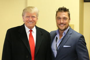 河南疫情新动态,24例本土确诊背后的警示与行动 河南疫情新动态,24例本土确诊背后的警示与行动