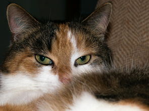 潍坊疫情新动态，新增本土确诊2例，无症状6例，我们如何保持警惕？