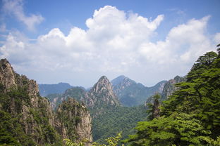 安徽疫情新动态,本土无症状感染者增至4例,防控措施升级 安徽疫情新动态,本土无症状感染者增至4例,防控措施升级