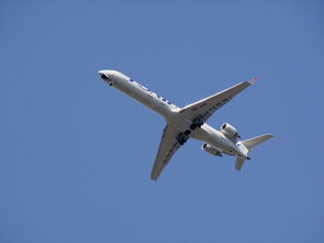 疫情新动态,31省新增确诊36例,防控措施与未来展望 疫情新动态,31省新增确诊36例,防控措施与未来展望