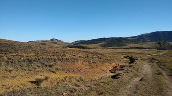 广东疫情新动态,本土病例增加4例,防控措施升级与公众应对指南 广东疫情新动态,本土病例增加4例,防控措施升级与公众应对指南