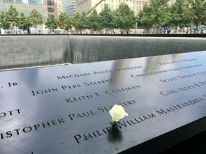 精选木字偏旁女孩名字,自然之美与诗意的结合 精选木字偏旁女孩名字,自然之美与诗意的结合