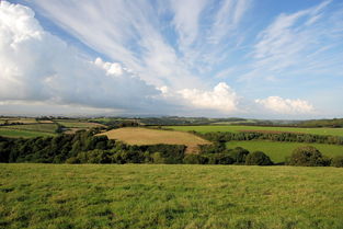 梅雨季节,大自然的湿意与生活的智慧 梅雨季节,大自然的湿意与生活的智慧