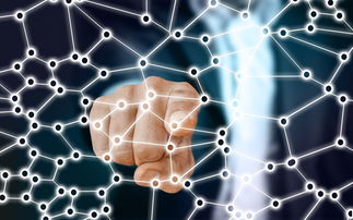 黄可,探索色彩的无限可能 黄可,探索色彩的无限可能