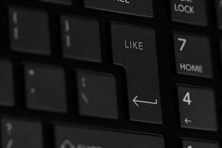 长春再次按下暂停键,吉林长春二次封城的最新消息全解析 长春再次按下暂停键,吉林长春二次封城的最新消息全解析