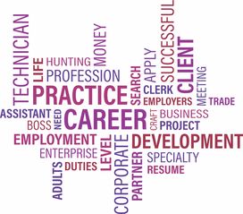 探索芳的拼音,汉字发音的艺术与实践 探索芳的拼音,汉字发音的艺术与实践