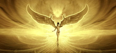 探索命运,免费算命的奥秘与现实 探索命运,免费算命的奥秘与现实