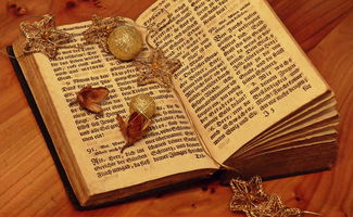 探索租字的奥秘,从古至今的租赁文化与实践 探索租字的奥秘,从古至今的租赁文化与实践