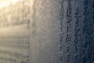 探索汉字之美，扌字旁的字及其文化意义