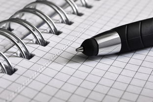名字的力量，揭秘免费名字测试背后的科学与艺术