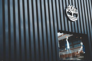 创意店铺命名,打造独特品牌形象的秘诀 创意店铺命名,打造独特品牌形象的秘诀