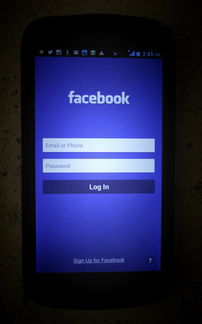 网名女简单,网络世界的个性化标签与自我表达 网名女简单,网络世界的个性化标签与自我表达