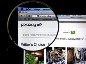 掌握抖的拼音,让发音更准确 掌握抖的拼音,让发音更准确