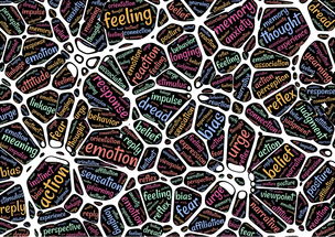 探索五格数理,姓名学中的科学与艺术 探索五格数理,姓名学中的科学与艺术