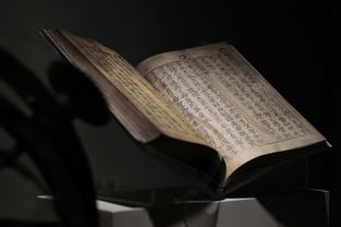 探索汉字中的金字旁，文化与语言的瑰宝