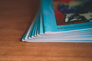 探索灾的拼音,发音的艺术与文化意义 探索灾的拼音,发音的艺术与文化意义