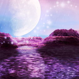 探索星座的奥秘，11月22日出生的你属于哪个星座？