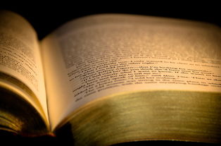 探索文学的瑰宝,十大公认最好看的小说 探索文学的瑰宝,十大公认最好看的小说