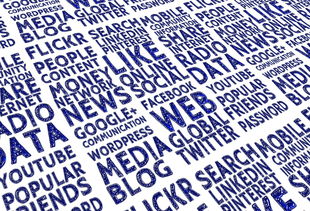 探索汉语拼音,理解雏字的发音与意义 探索汉语拼音,理解雏字的发音与意义