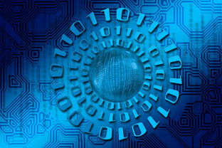 揭秘未来伴侣姓氏的奥秘,科学与直觉的结合 揭秘未来伴侣姓氏的奥秘,科学与直觉的结合