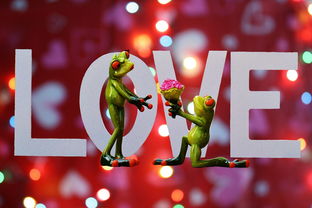 舞动青春,劲舞团情侣名字大全2023最新版 舞动青春,劲舞团情侣名字大全2023最新版