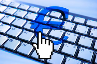 探索免费取名字软件,创意与便利的结合 探索免费取名字软件,创意与便利的结合