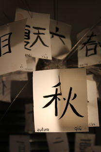 探索繁体字的魅力，中文的古典之美与现代应用