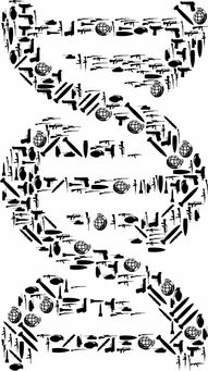 打造个性标签，在线免费艺名起名的艺术与科学