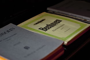 探索全国重复名字查询系统,了解、使用及重要性 探索全国重复名字查询系统,了解、使用及重要性