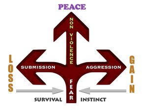 钅字旁的吉祥之选,为孩子挑选最吉利的名字 钅字旁的吉祥之选,为孩子挑选最吉利的名字