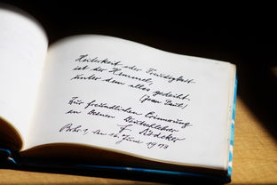 撵组词的艺术,如何巧妙运用撵字丰富你的语言 撵组词的艺术,如何巧妙运用撵字丰富你的语言