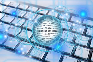 探索名字的力量,免费取名打分测试的奥秘与实践 探索名字的力量,免费取名打分测试的奥秘与实践