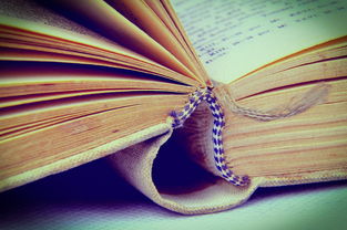 昵称的艺术,三个字的简单与纯净 昵称的艺术,三个字的简单与纯净